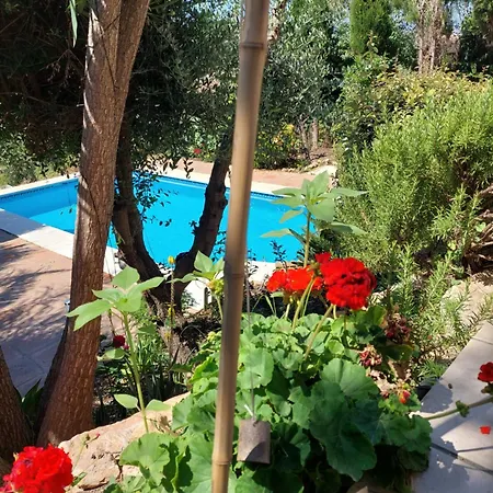 Casa Sunflower Malaga