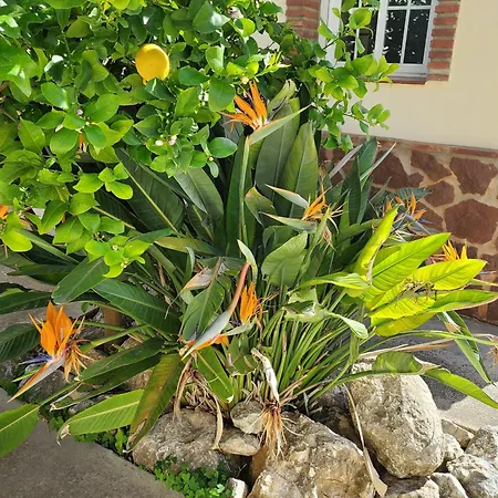 Villa Casa Sunflower